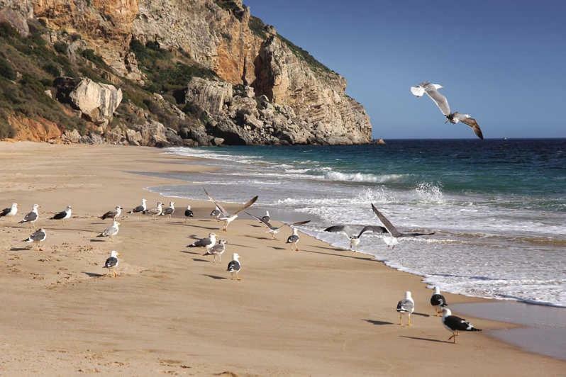Ferienwohnung Refugio De Zimbra Sesimbra Exterior foto